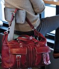 Milano Travel Bag: The Travel Tote Bag That Never Tells
